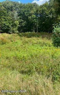 5. Commercial for Sale at Route 940 Lot 103 Pocono Summit, Pennsylvania 18346 United States