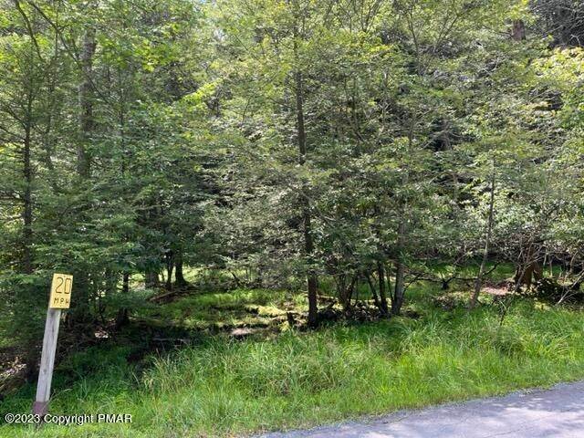 Land for Sale at C207 Stony Brook Drive Albrightsville, Pennsylvania 18210 United States