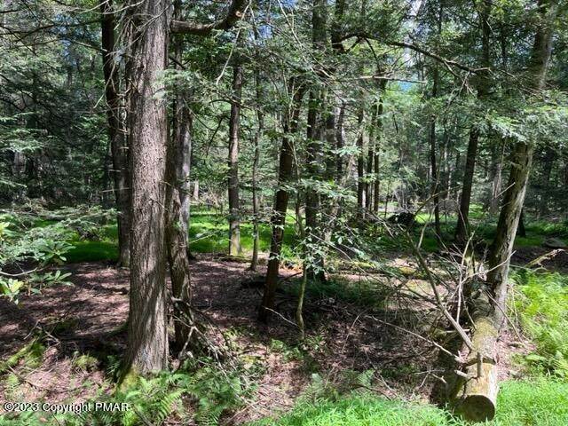 1. Land for Sale at C501 Stony Brook Drive Albrightsville, Pennsylvania 18210 United States