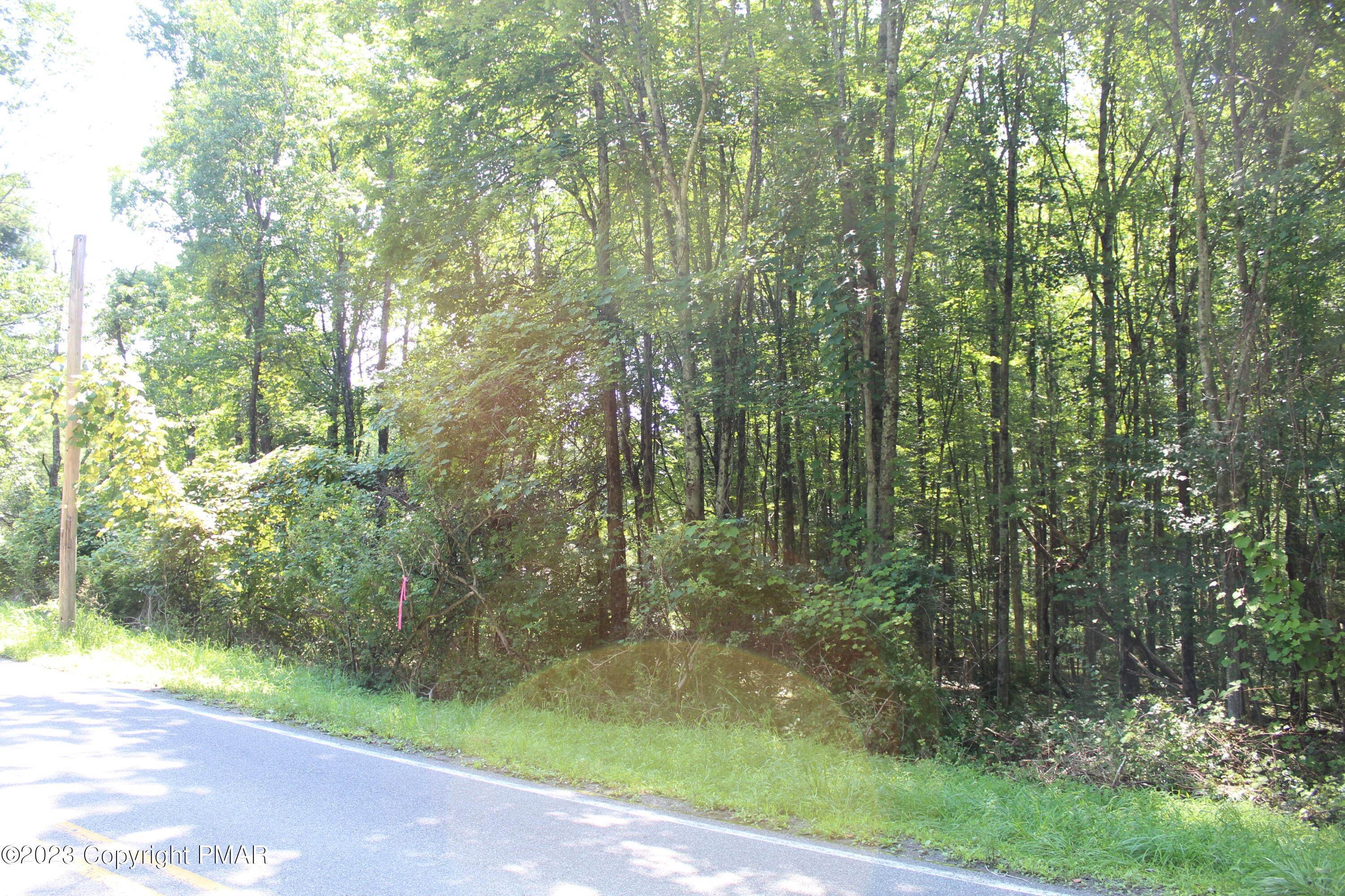 5. Land for Sale at T 569/Merry Hill Road Cresco, Pennsylvania 18326 United States