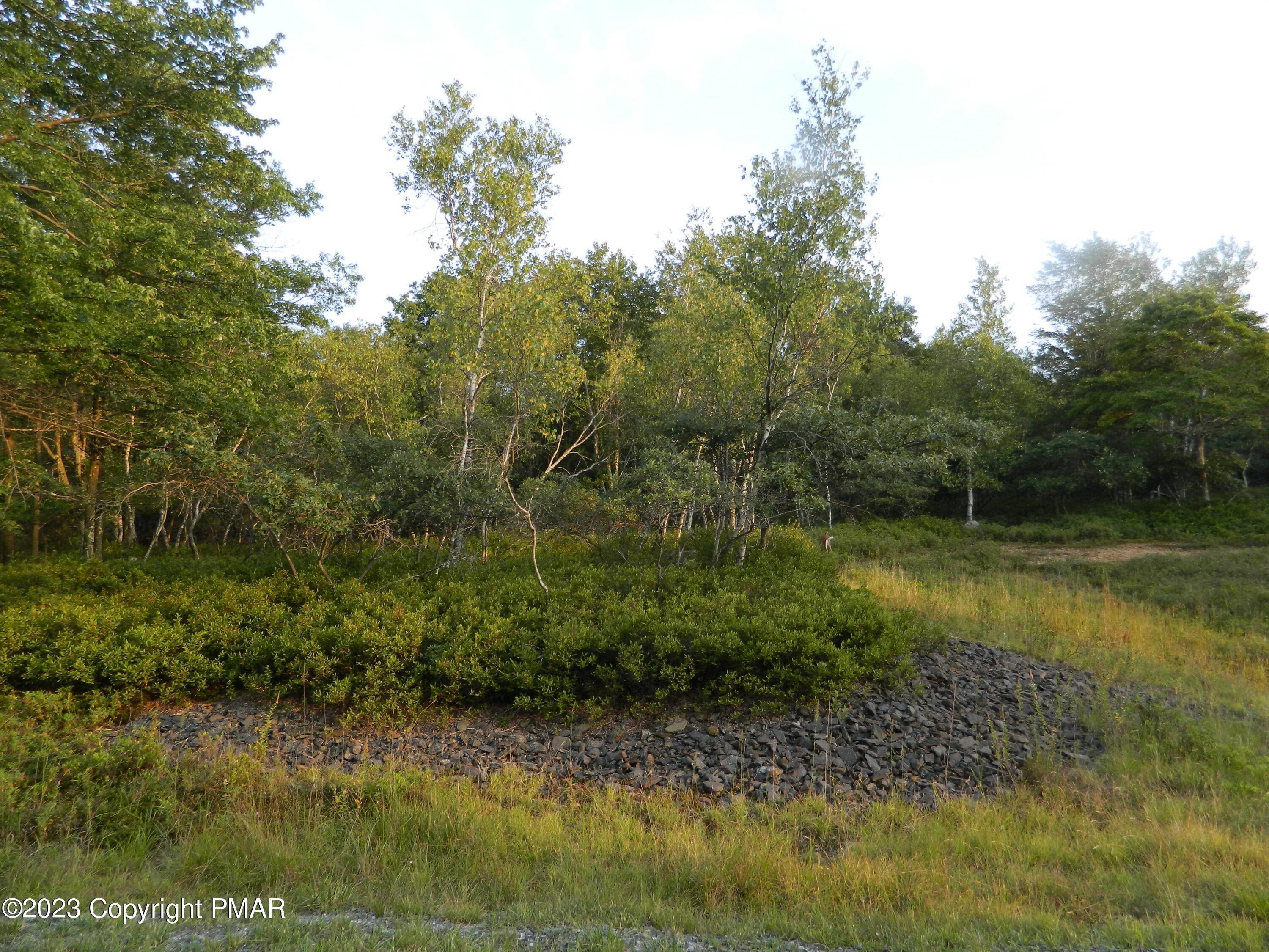 1. Land for Sale at Brittany Drive Albrightsville, Pennsylvania 18210 United States