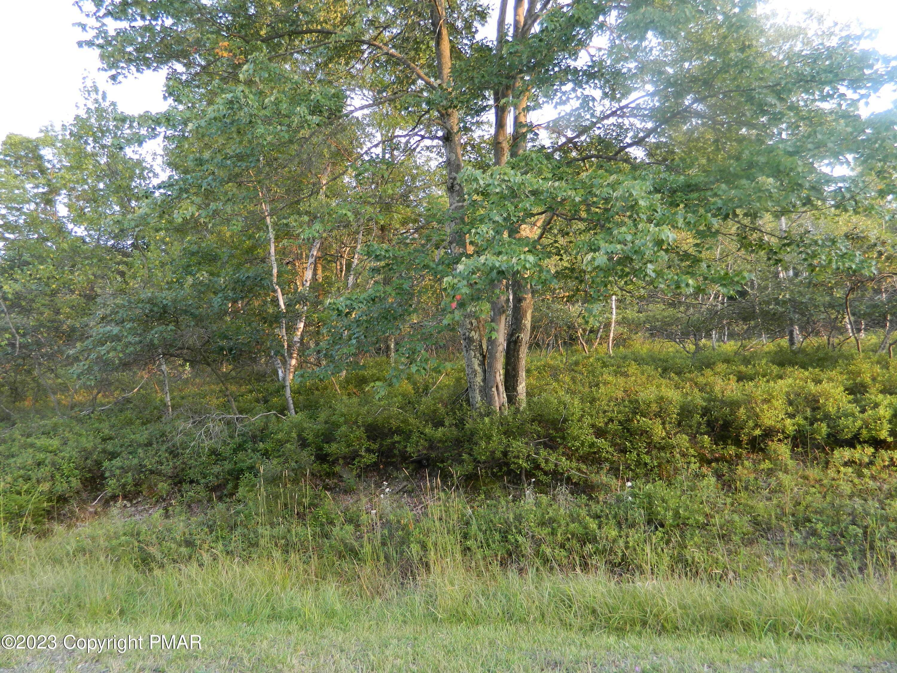 2. Land for Sale at Brittany Drive Albrightsville, Pennsylvania 18210 United States