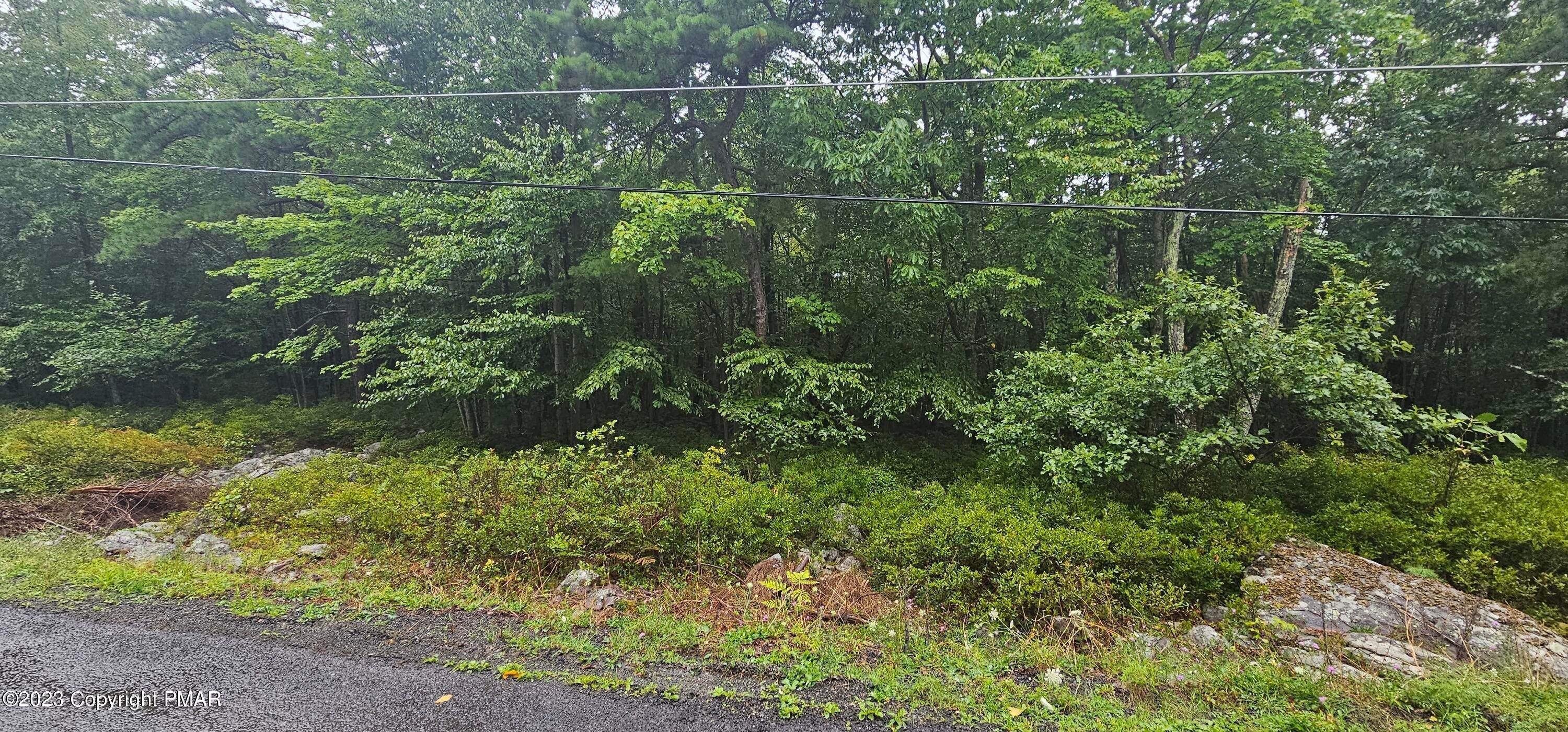 2. Land for Sale at A132 Hickory Run Lane Albrightsville, Pennsylvania 18210 United States