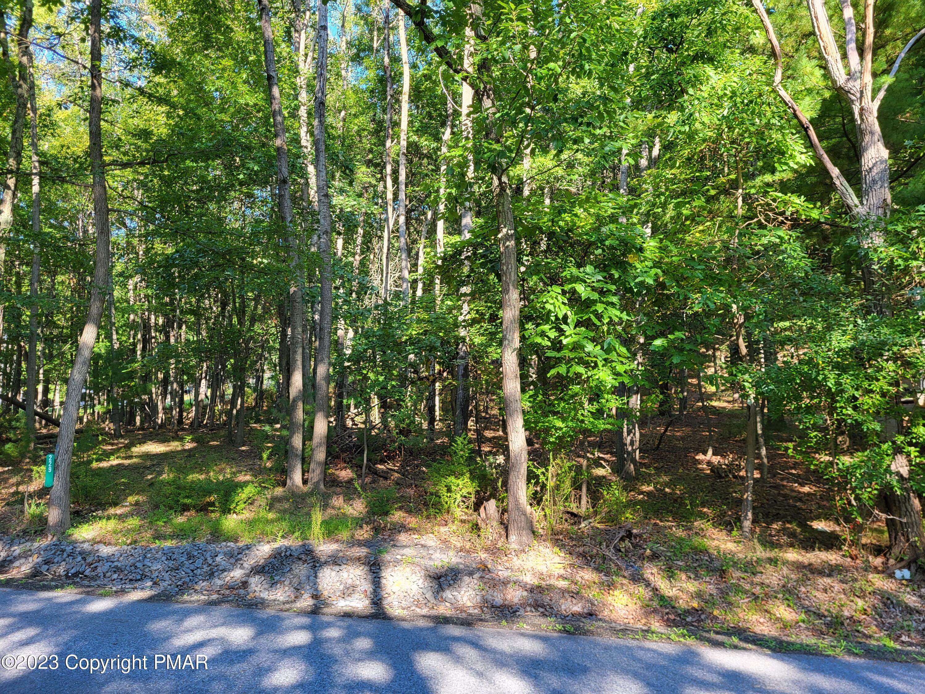 Land for Sale at Tr 434 3 Five Springs Road Stroudsburg, Pennsylvania 18360 United States
