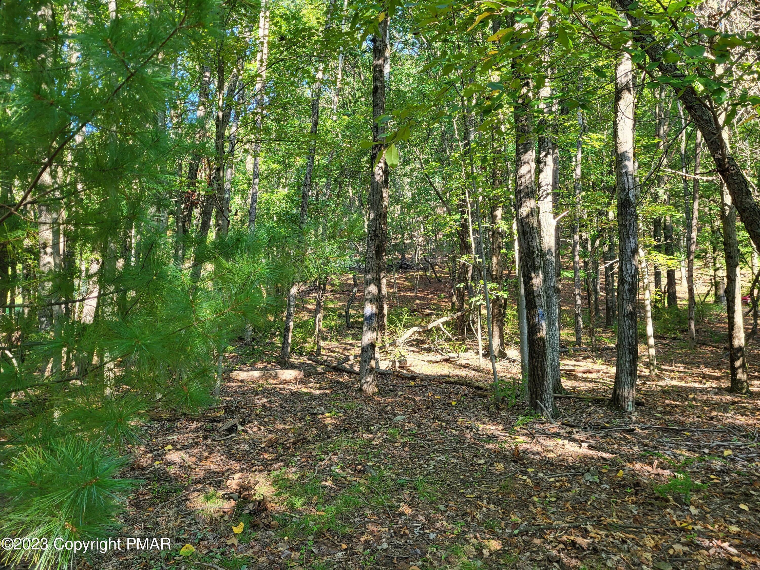 8. Land for Sale at Tr 434 3 Five Springs Road Stroudsburg, Pennsylvania 18360 United States