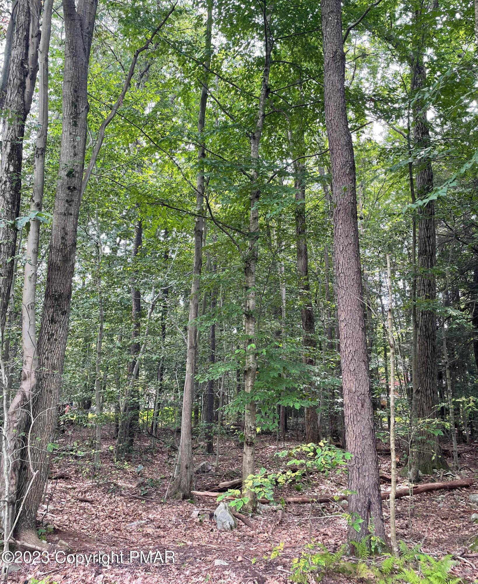 1. Land for Sale at 7302 Mohican Lane Tobyhanna, Pennsylvania 18466 United States