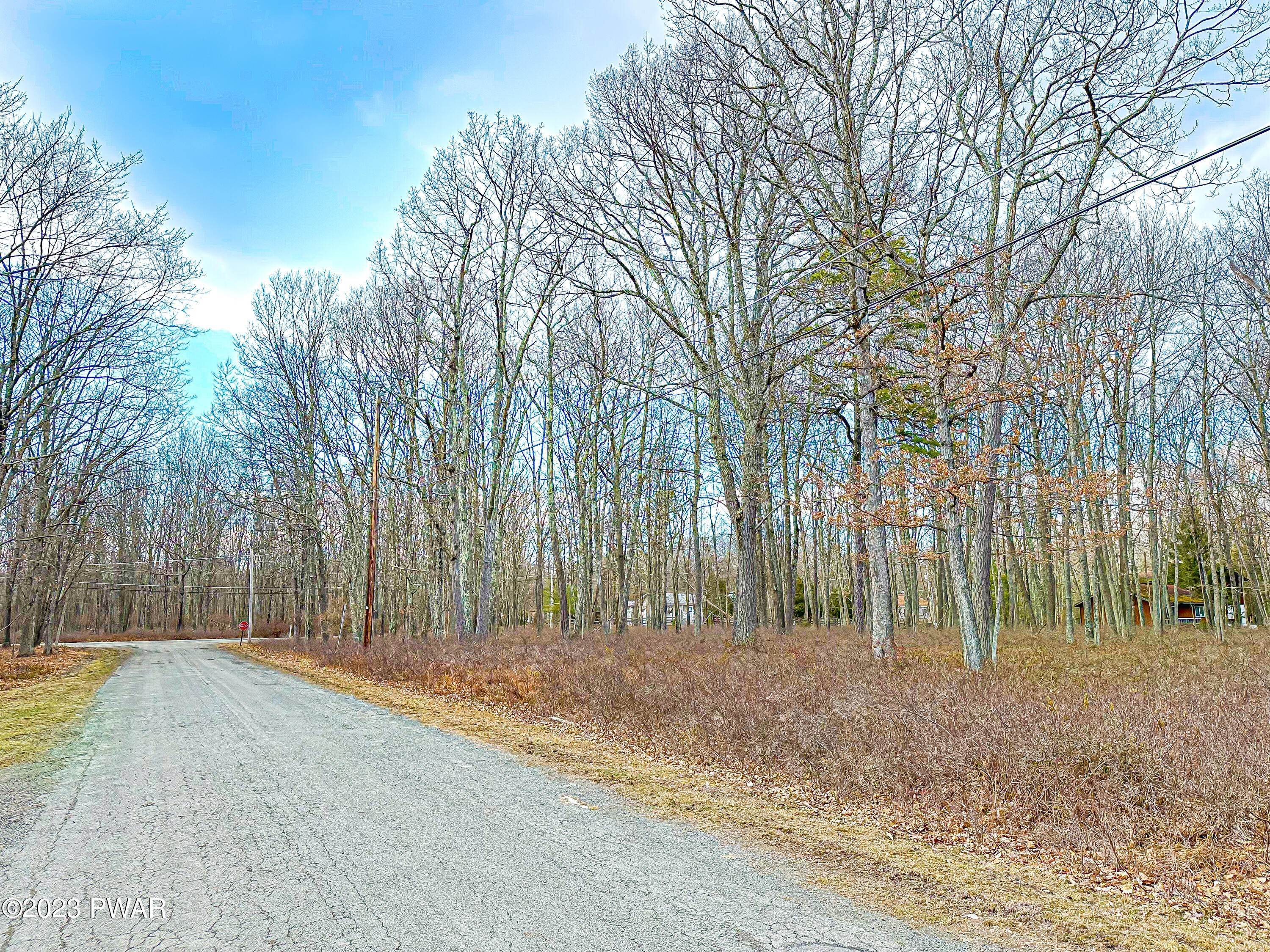 3. Land for Sale at Lot 85 Center Trail Hawley, Pennsylvania 18428 United States