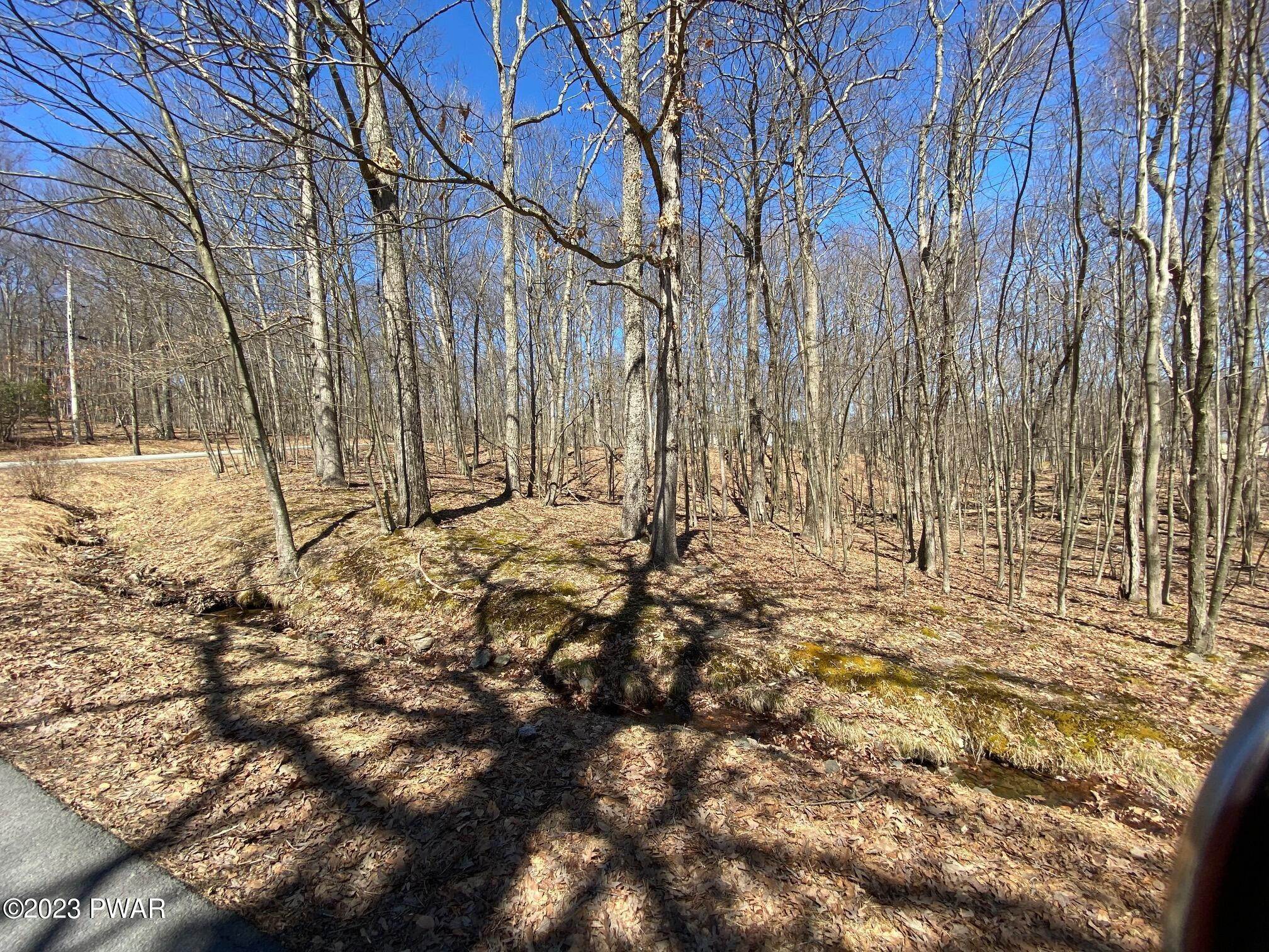 4. Land for Sale at Pitch Pine Lane/Drive Milford, Pennsylvania 18337 United States
