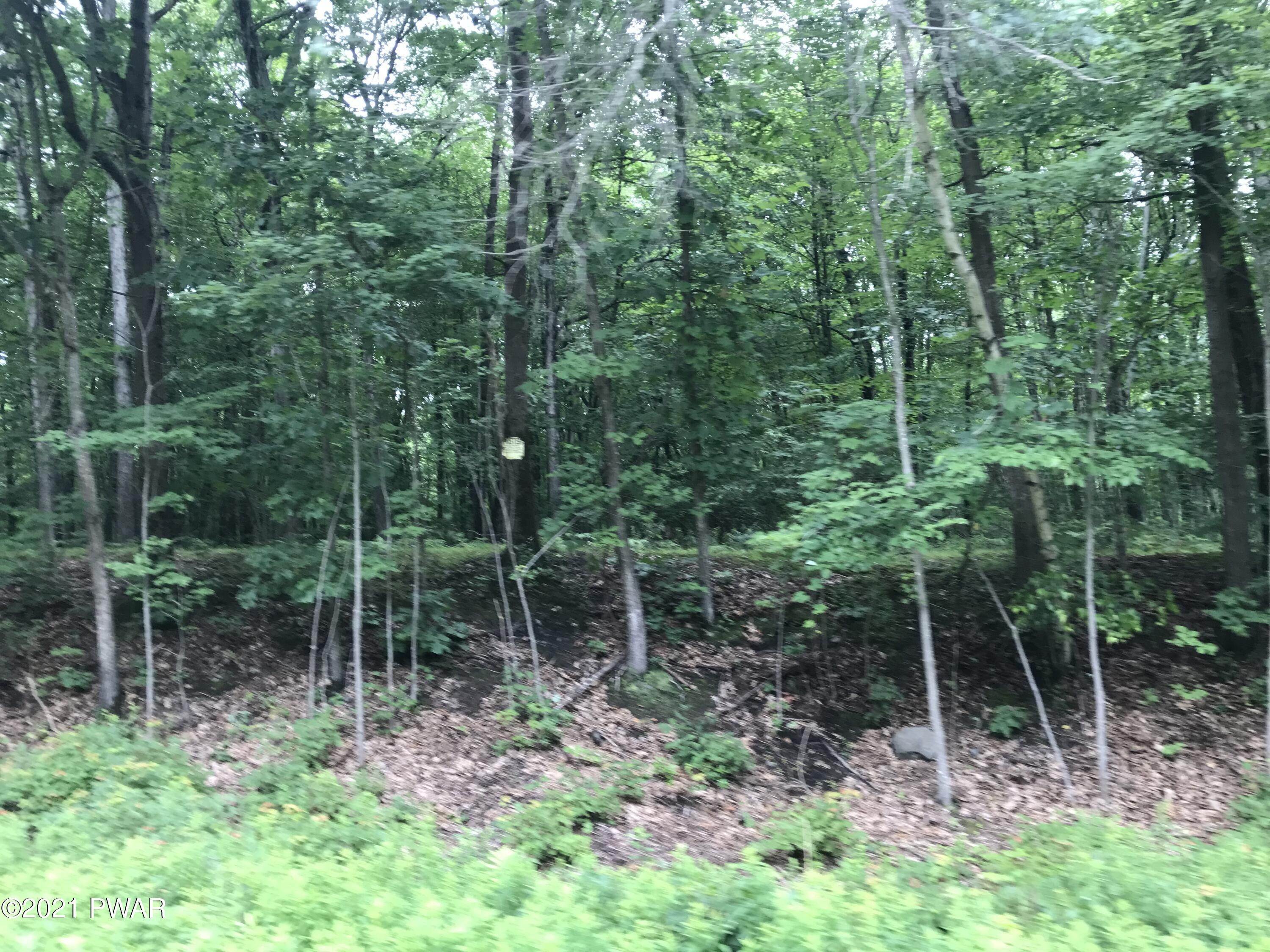 11. Land for Sale at 112 Swamp Brook Path Hawley, Pennsylvania 18428 United States