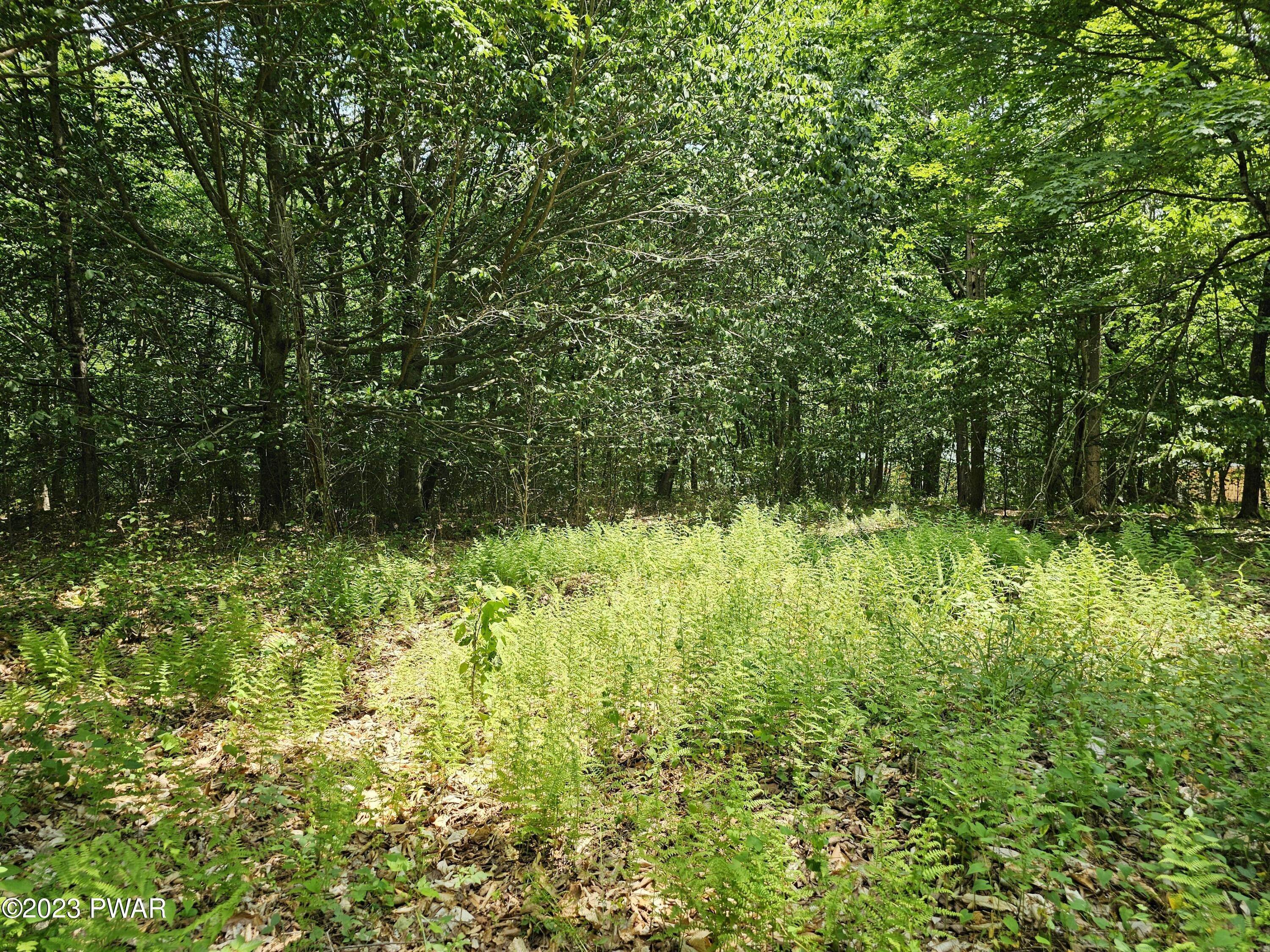 7. Land for Sale at Lot 69 Stonegate Road Equinunk, Pennsylvania 18417 United States