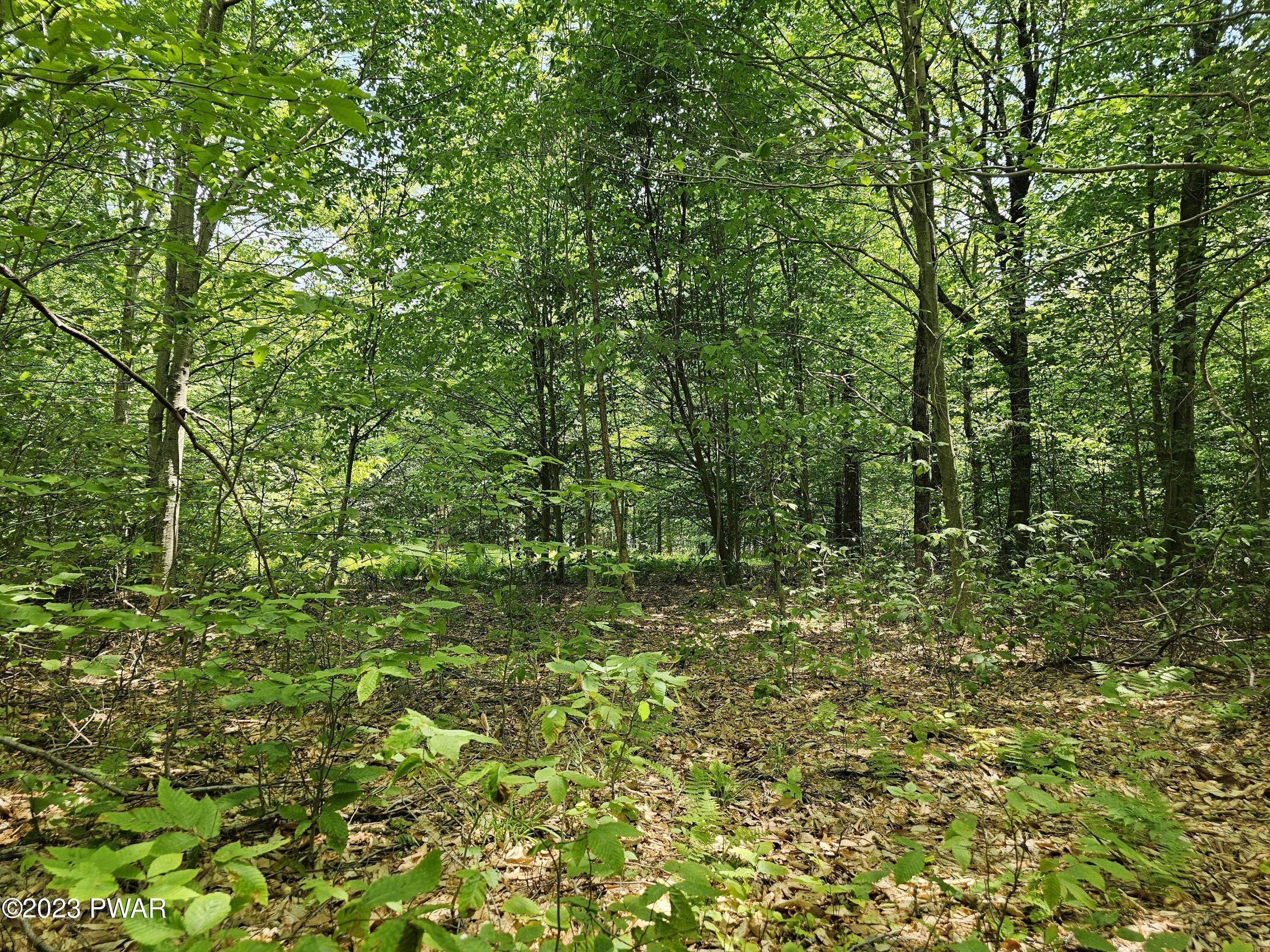 11. Land for Sale at Lot 69 Stonegate Road Equinunk, Pennsylvania 18417 United States