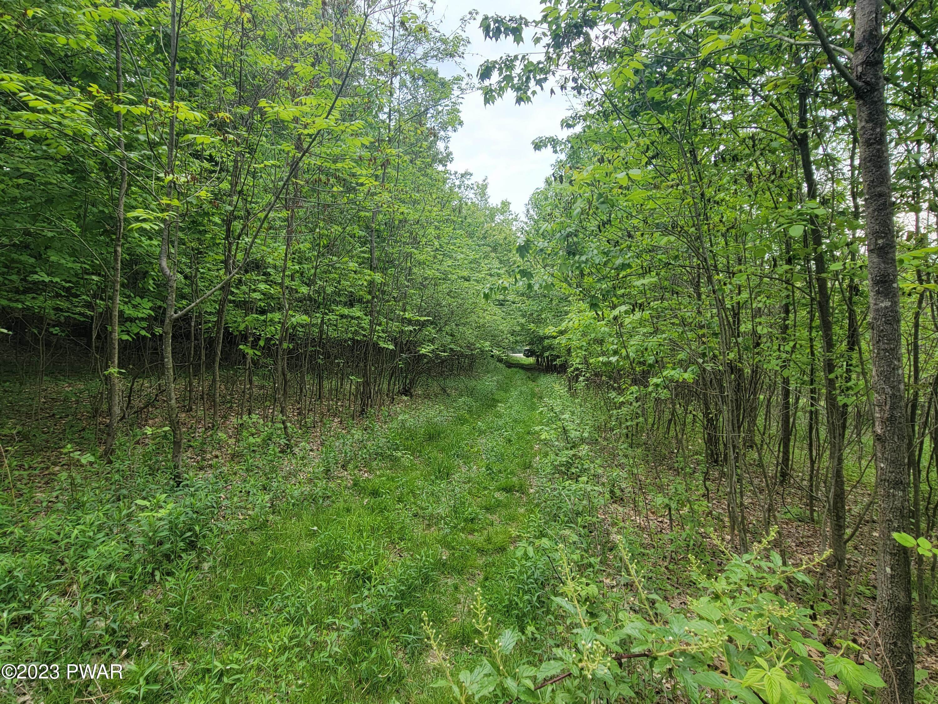 2. Land for Sale at 131 Hidden Valley Drive Lake Ariel, Pennsylvania 18436 United States