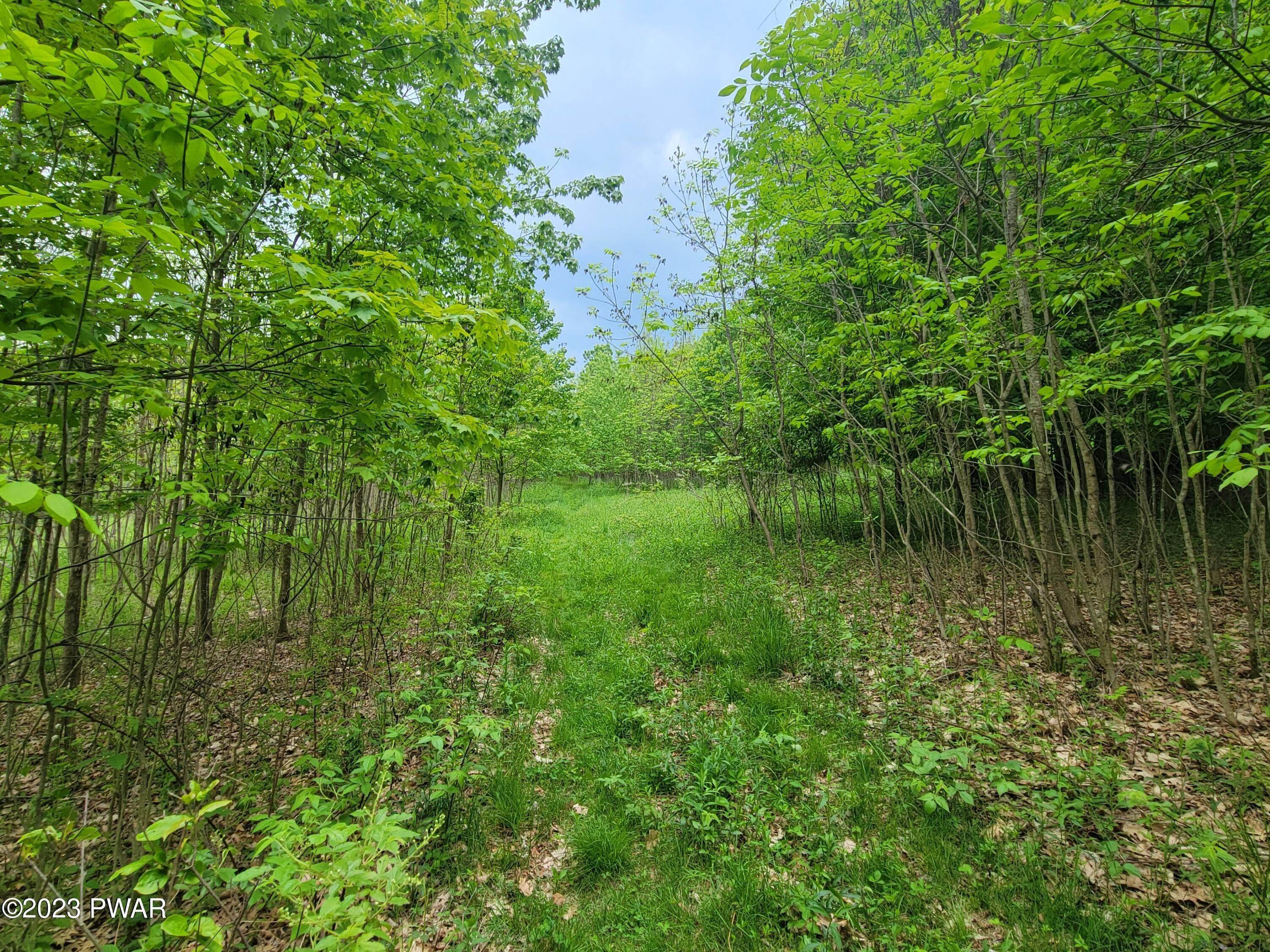 4. Land for Sale at 131 Hidden Valley Drive Lake Ariel, Pennsylvania 18436 United States