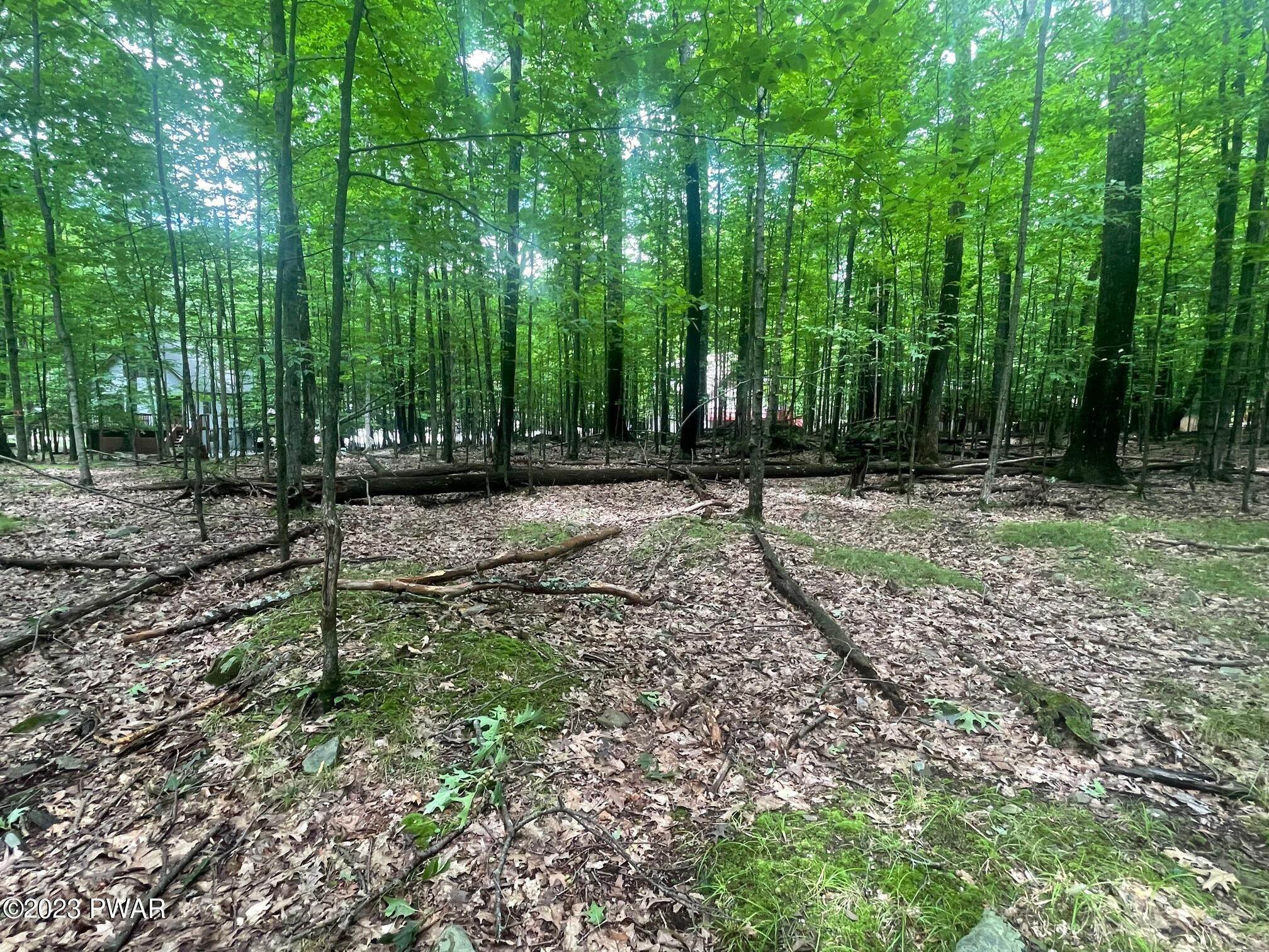 2. Land for Sale at 163 N Fairway Drive Lake Ariel, Pennsylvania 18436 United States