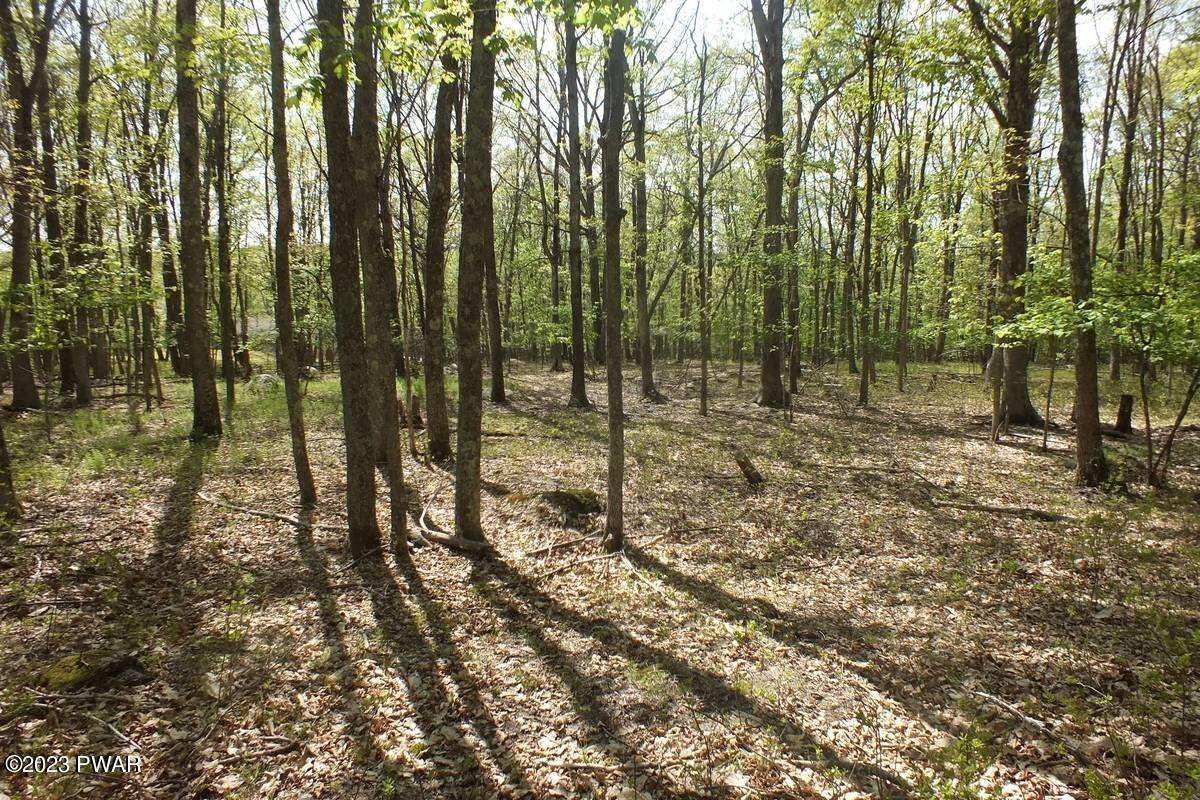 Property for Sale at Lot 225 Tink Wig Drive Hawley, Pennsylvania 18428 United States
