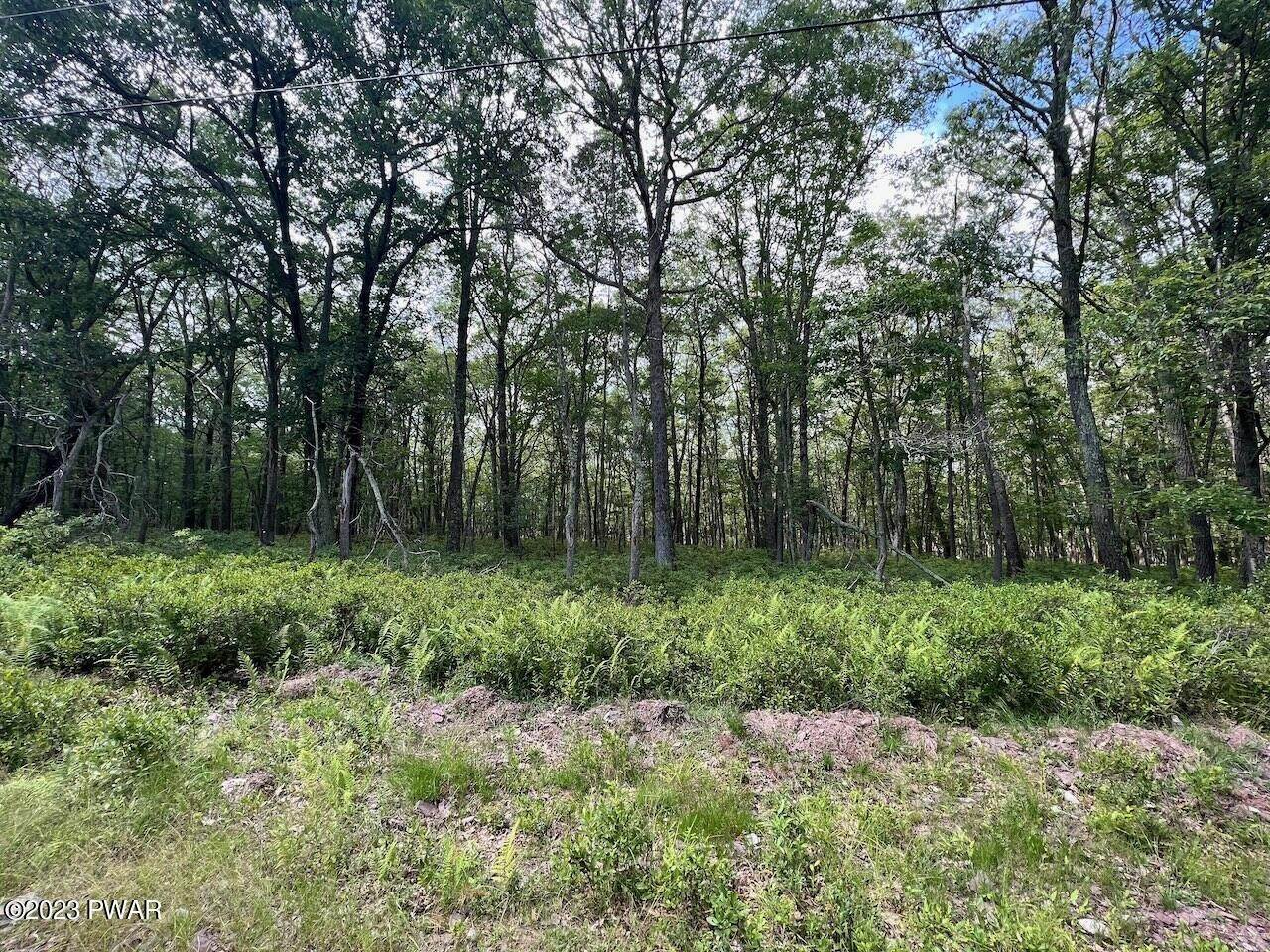 Land for Sale at Lot 156 Mountain Top Road Lackawaxen, Pennsylvania 18435 United States