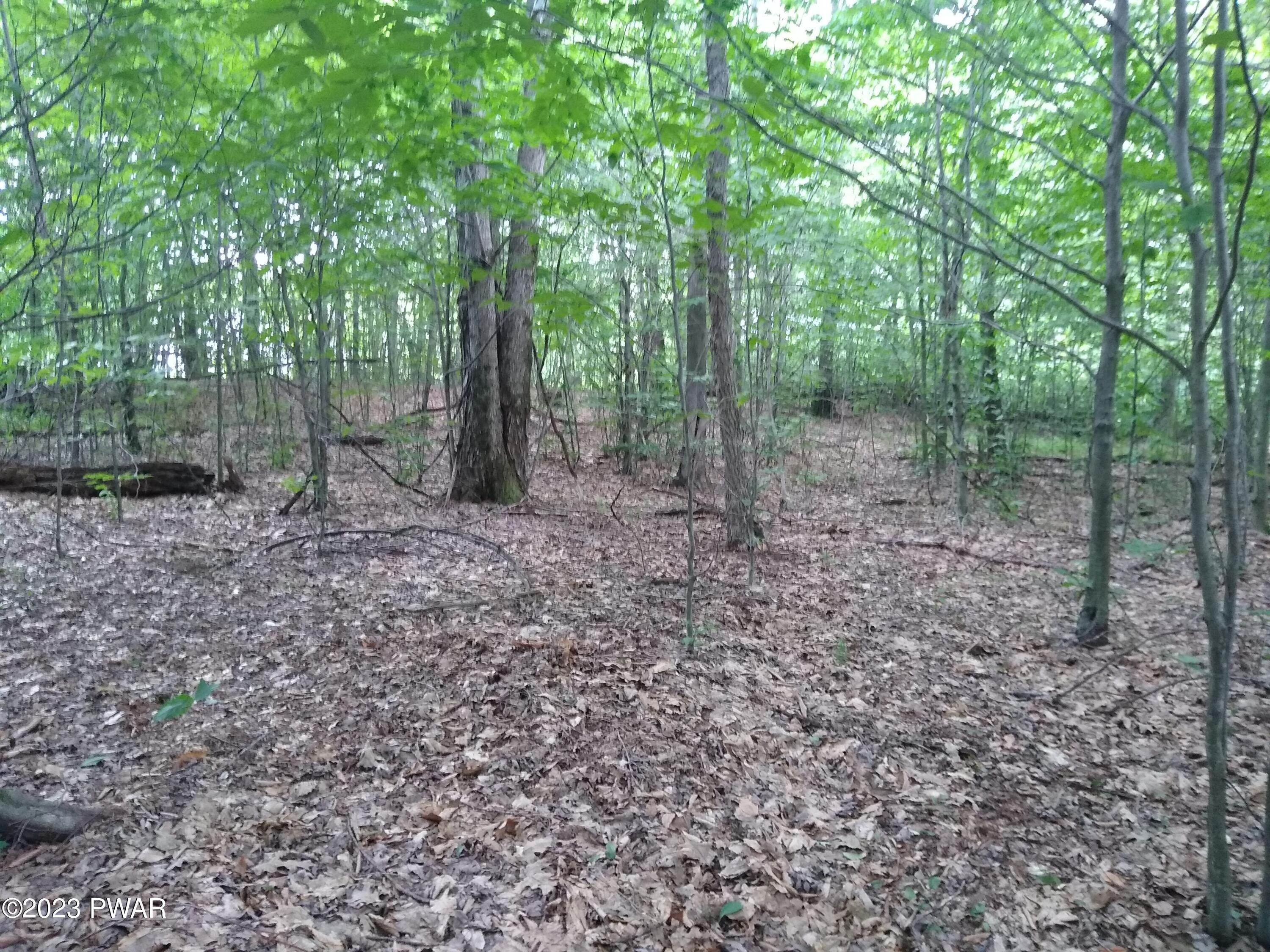 4. Land for Sale at 445 Summit Woods Road Roaring Brook Twp, Pennsylvania 18444 United States