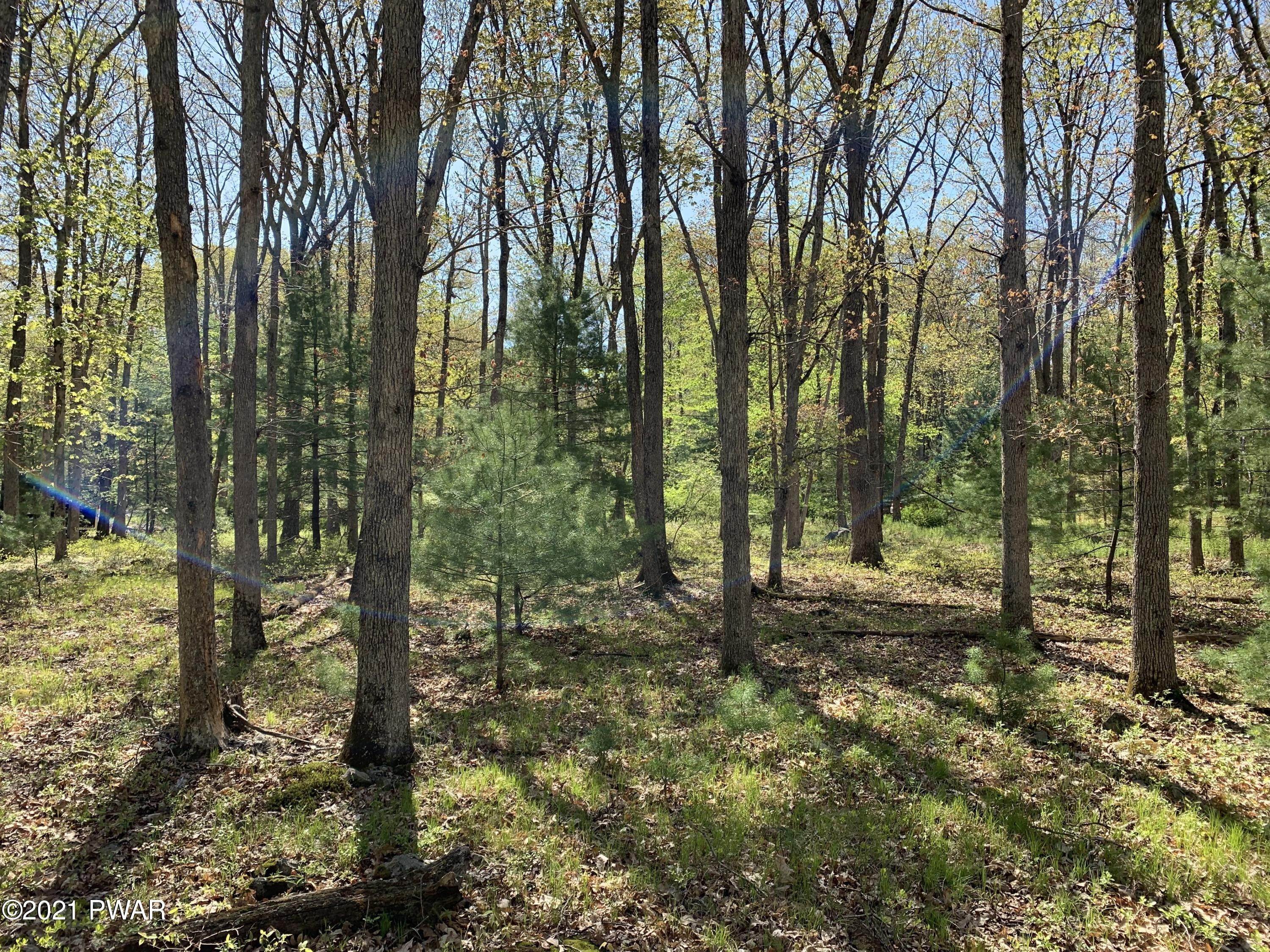 5. Land for Sale at Lot 335 Lakewood Drive Milford, Pennsylvania 18337 United States