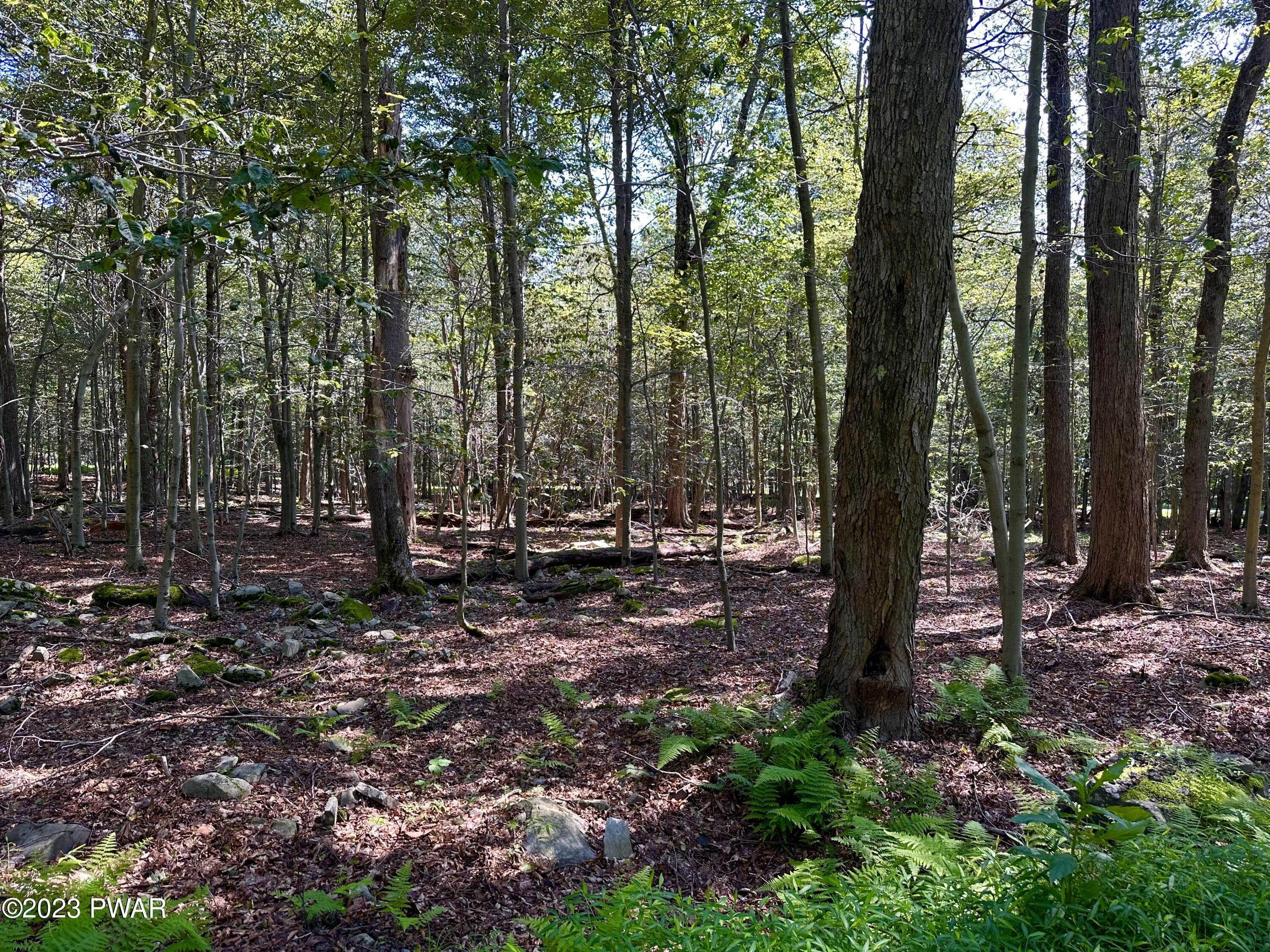 2. Land for Sale at Lot 28 Trout Lane Newfoundland, Pennsylvania 18463 United States