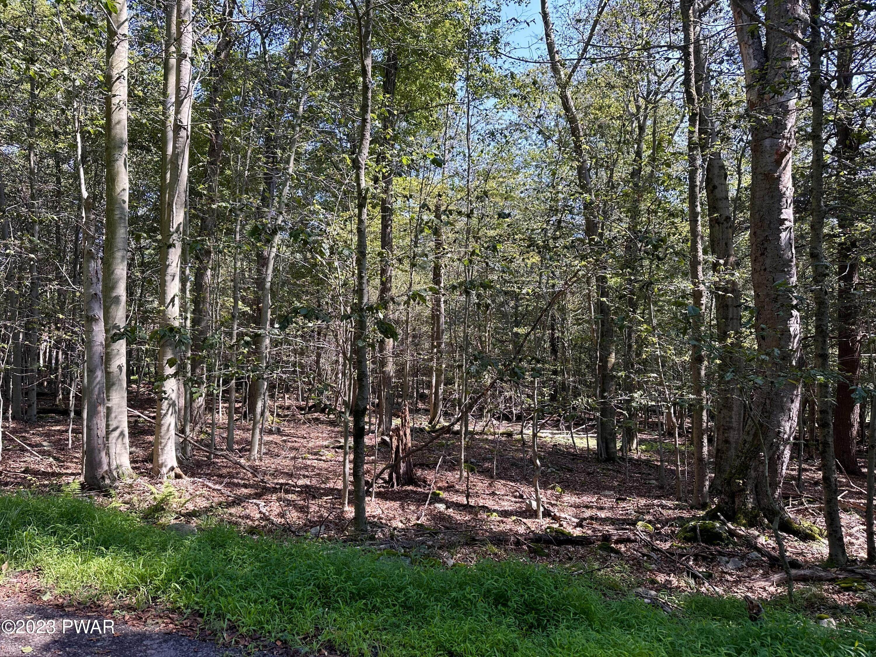 Land for Sale at Lot 28 Trout Lane Newfoundland, Pennsylvania 18463 United States