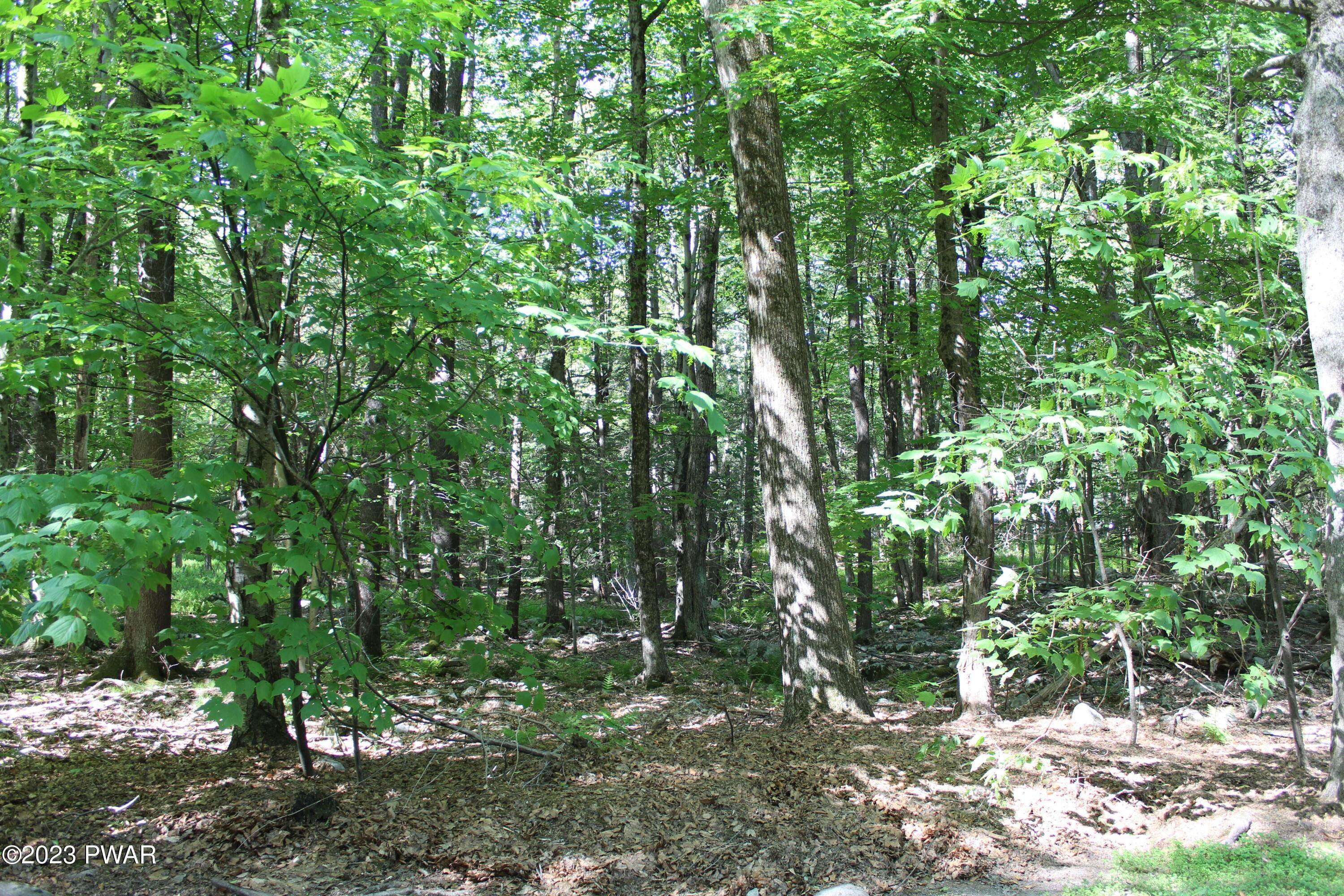 Land for Sale at Maple Lane Greentown, Pennsylvania 18426 United States
