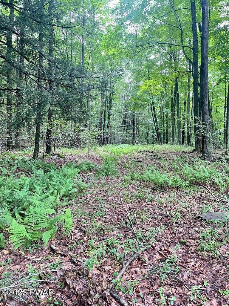 5. Land for Sale at Old Gravity Road Lake Ariel, Pennsylvania 18436 United States