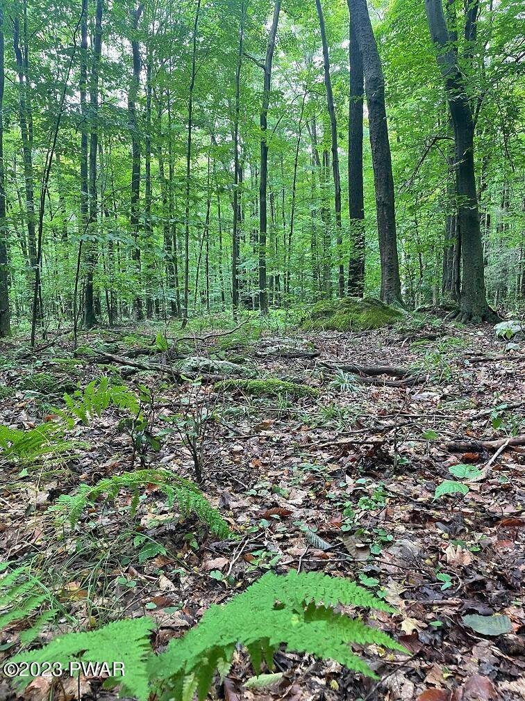 12. Land for Sale at Old Gravity Road Lake Ariel, Pennsylvania 18436 United States