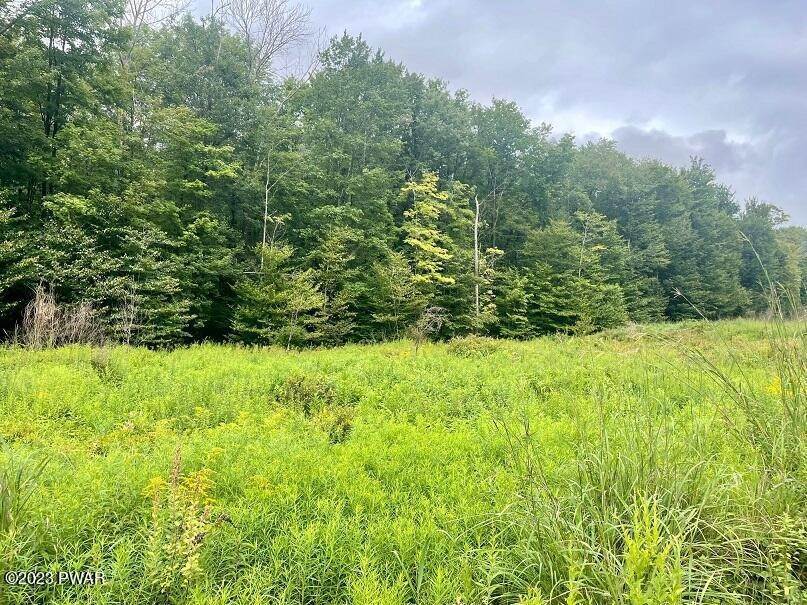 13. Land for Sale at Old Gravity Road Lake Ariel, Pennsylvania 18436 United States