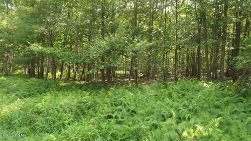 3. Land for Sale at Lot 8 Ridge Road Milford, Pennsylvania 18337 United States