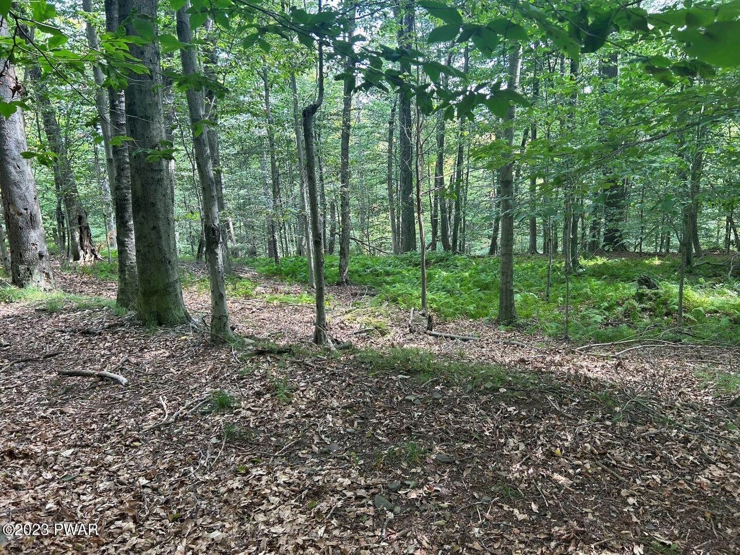 Land for Sale at 712 Basswood Terrace Greentown, Pennsylvania 18426 United States
