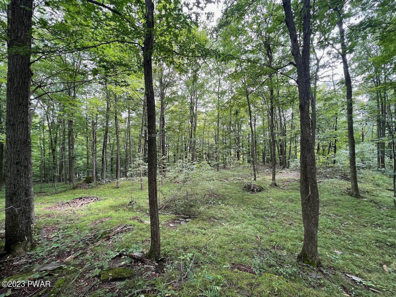 12. Land for Sale at 6 & 7 Secluded Lake Road Newfoundland, Pennsylvania 18455 United States