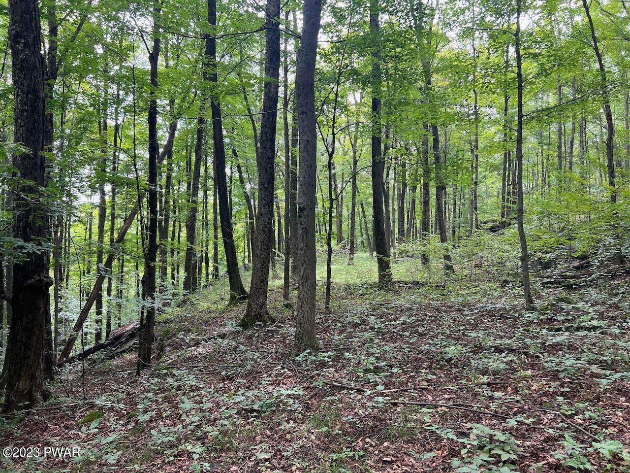 10. Land for Sale at 6 & 7 Secluded Lake Road Newfoundland, Pennsylvania 18455 United States