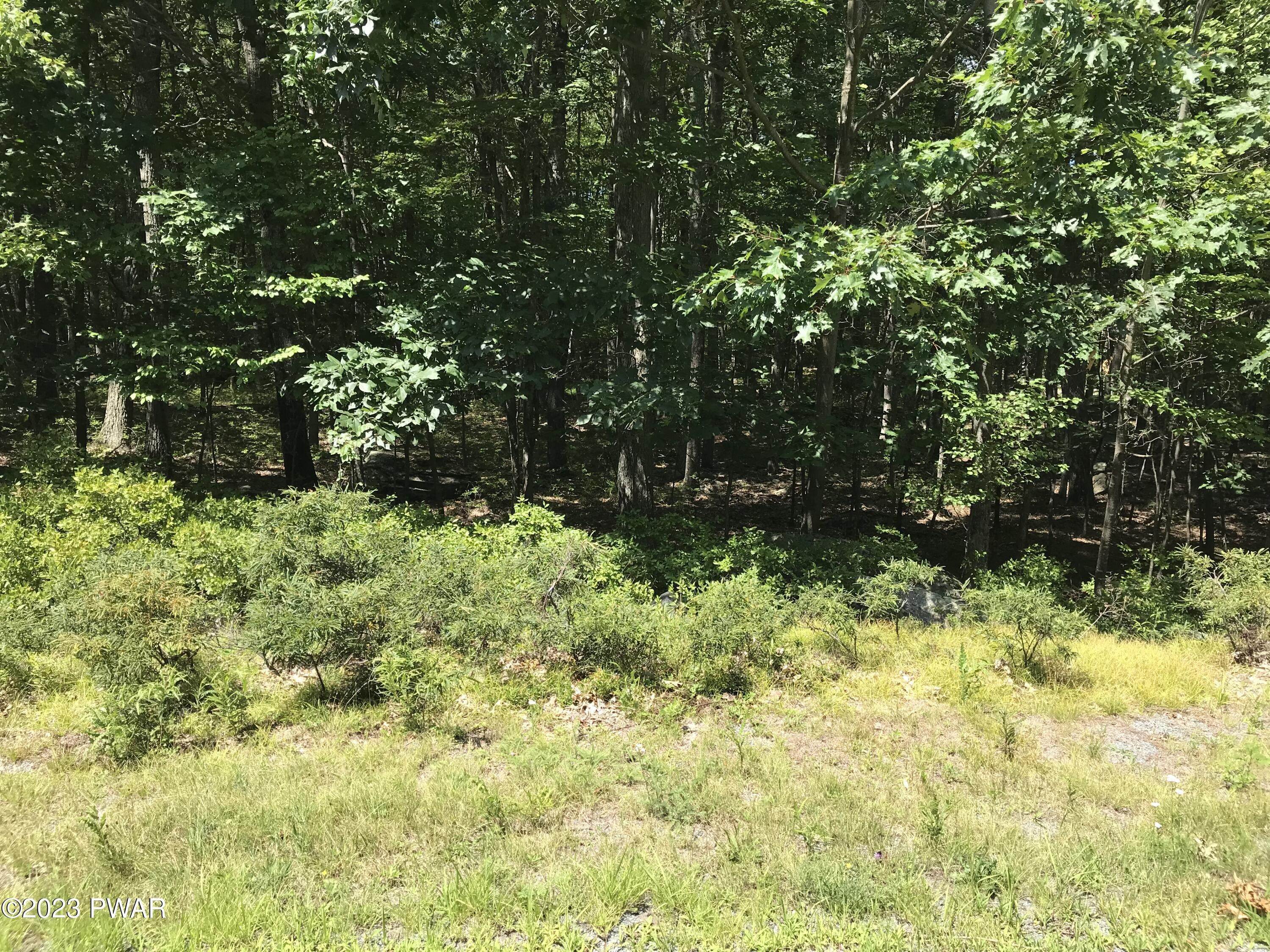 Land for Sale at 1301 Dewberry Drive Hawley, Pennsylvania 18428 United States